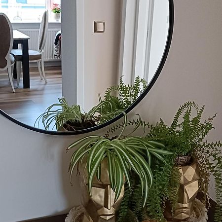 Apartamenty Holender House Choczewo 外观 照片