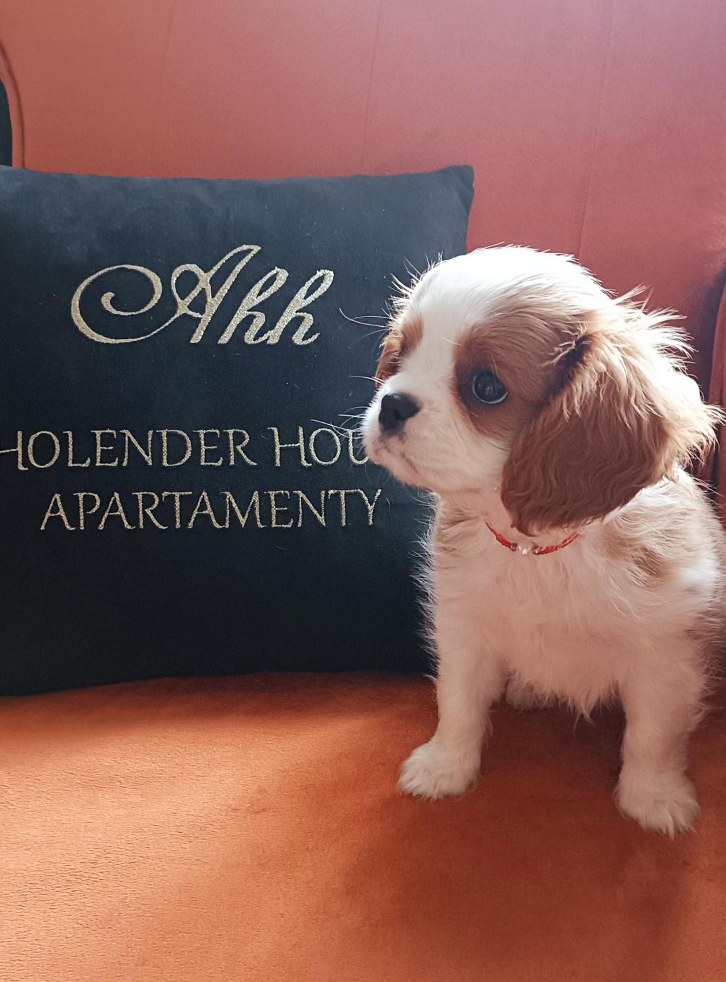 Apartamenty Holender House Choczewo 外观 照片