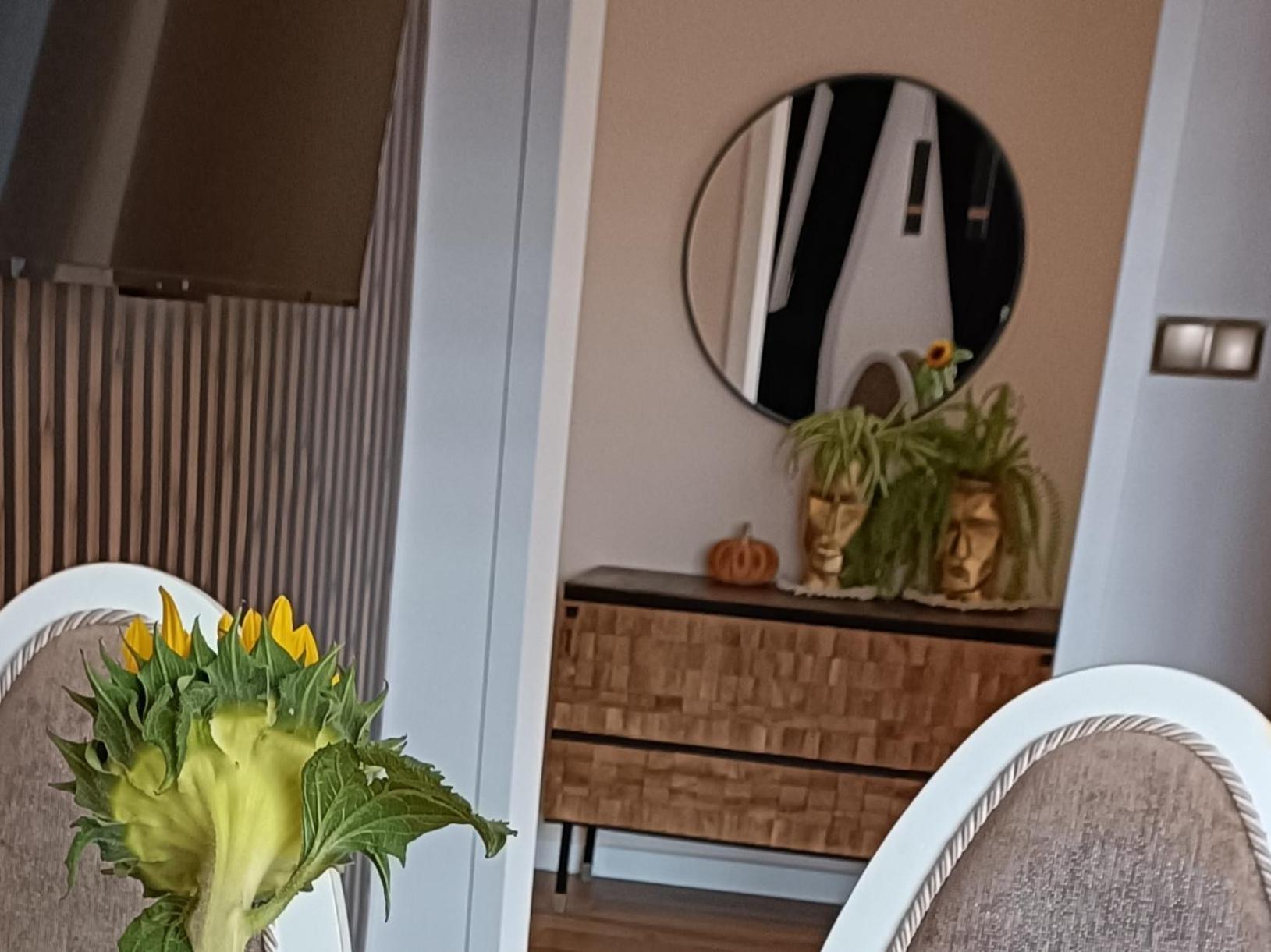 Apartamenty Holender House Choczewo 外观 照片
